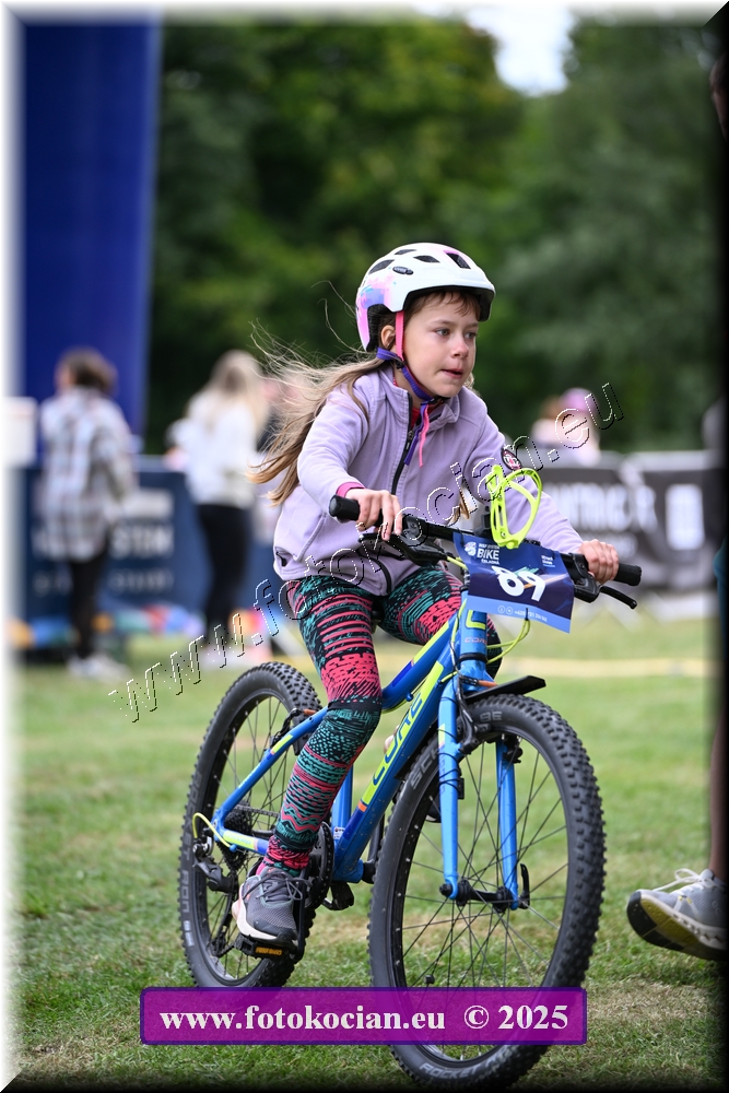 Náhled obrázku: 2025-1190-Celadna-.JPG