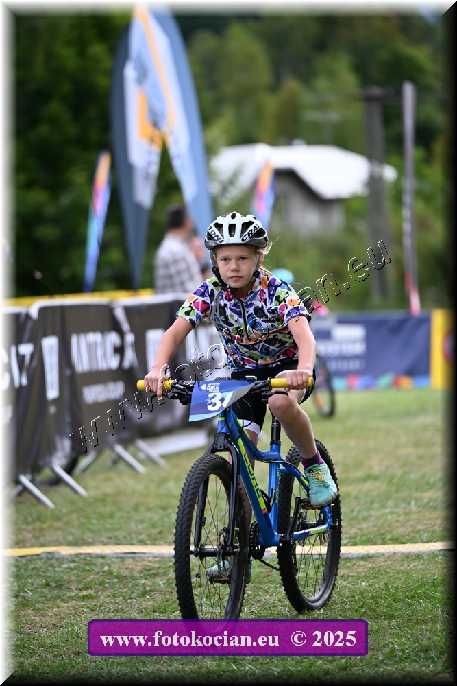 Náhled obrázku: 2025-1197-Celadna-.JPG