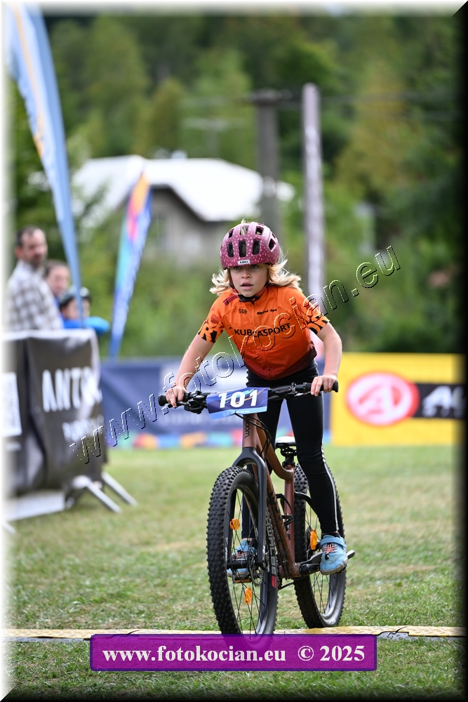 Náhled obrázku: 2025-1199-Celadna-.JPG