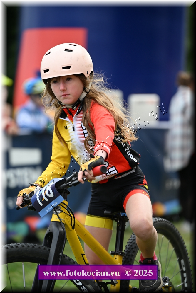 Náhled obrázku: 2025-1203-Celadna-.JPG