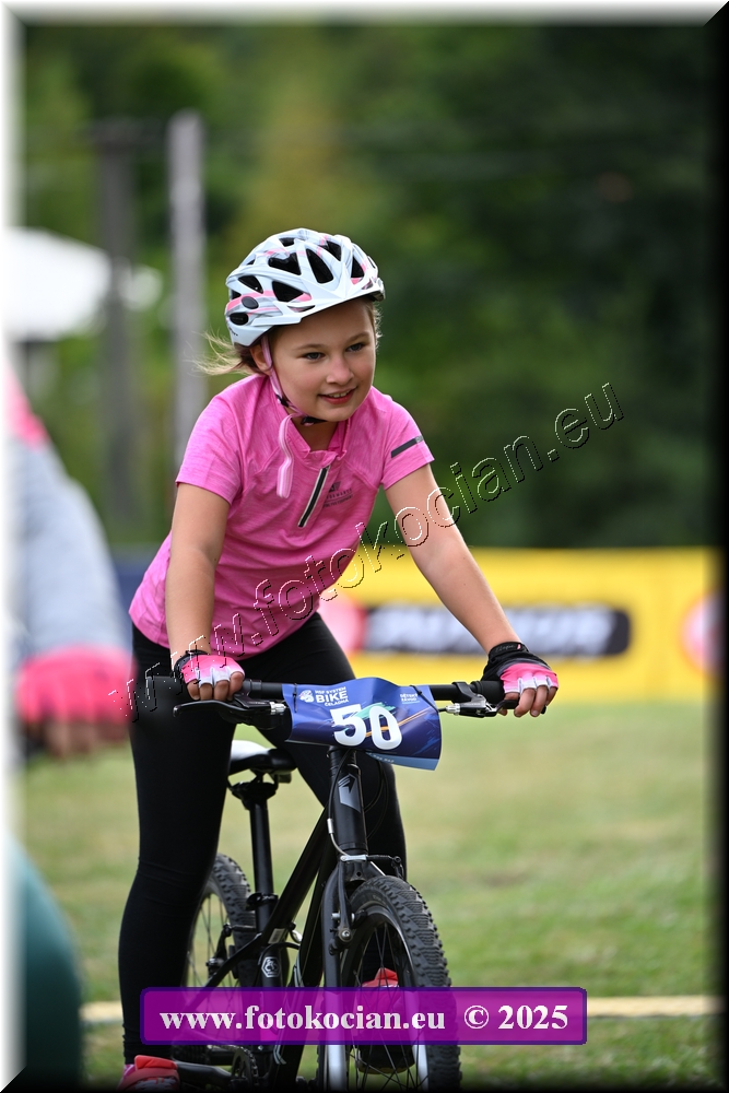 Náhled obrázku: 2025-1207-Celadna-.JPG