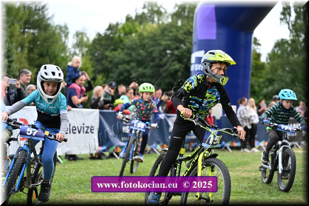 Náhled obrázku: 2025-1221-Celadna-.JPG