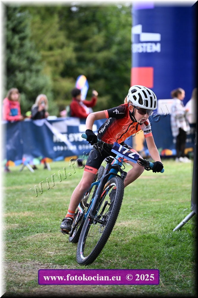 Náhled obrázku: 2025-1225-Celadna-.JPG