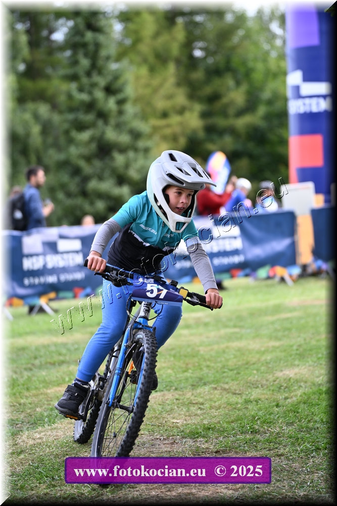 Náhled obrázku: 2025-1237-Celadna-.JPG