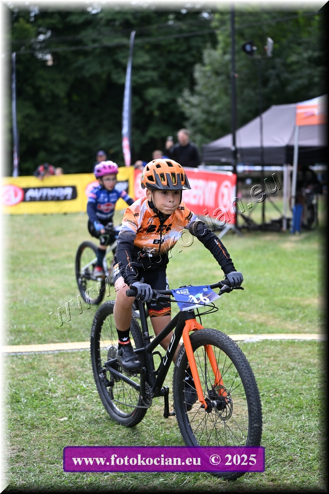 Náhled obrázku: 2025-1249-Celadna-.JPG