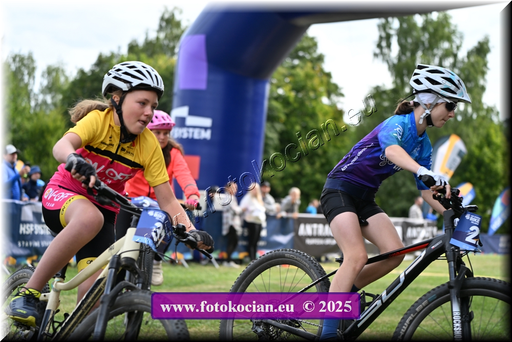 Náhled obrázku: 2025-1264-Celadna-.JPG