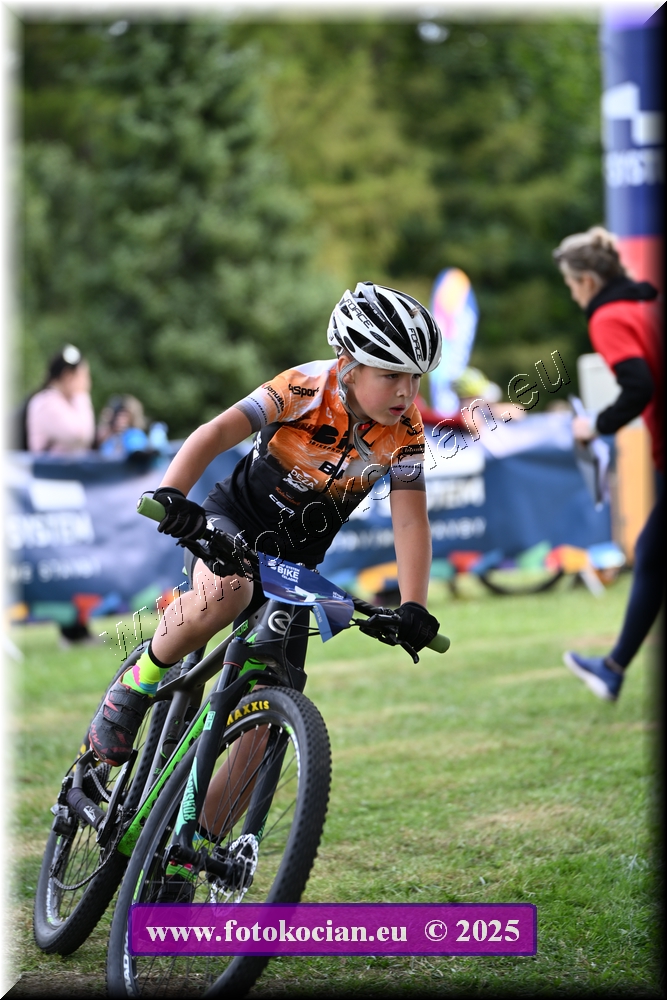 Náhled obrázku: 2025-1316-Celadna-.JPG