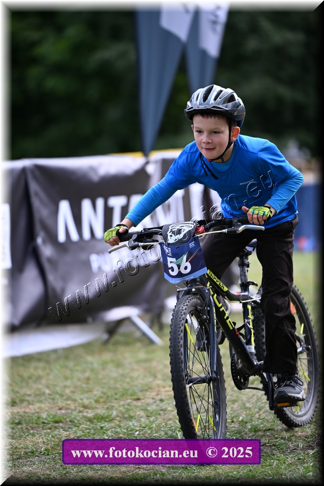 Náhled obrázku: 2025-1341-Celadna-.JPG