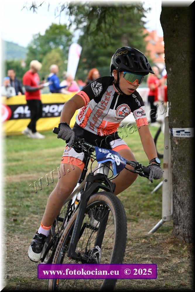 Náhled obrázku: 2025-1388-Celadna-.JPG