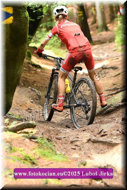 Náhled obrázku: 2025-6405-Sudety-478.JPG