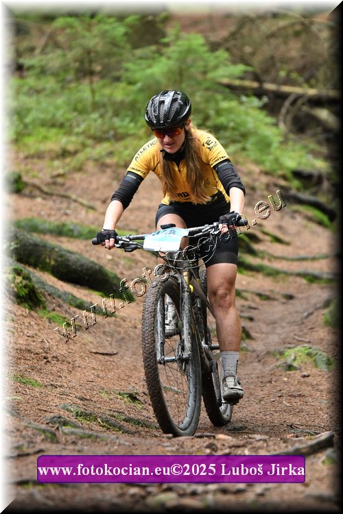 Náhled obrázku: 2025-6585-Sudety-348.JPG