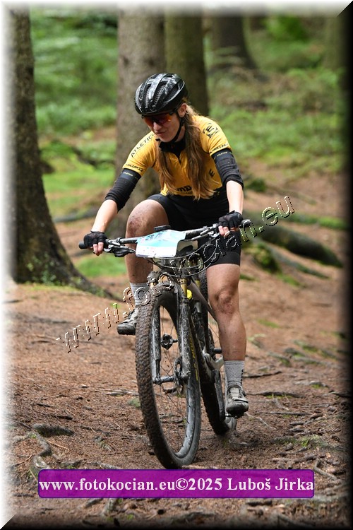 Náhled obrázku: 2025-6586-Sudety-348.JPG