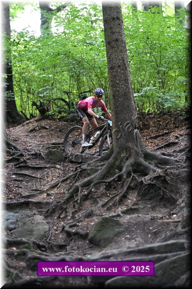 Náhled obrázku: 2025-2297-Sudety-.JPG