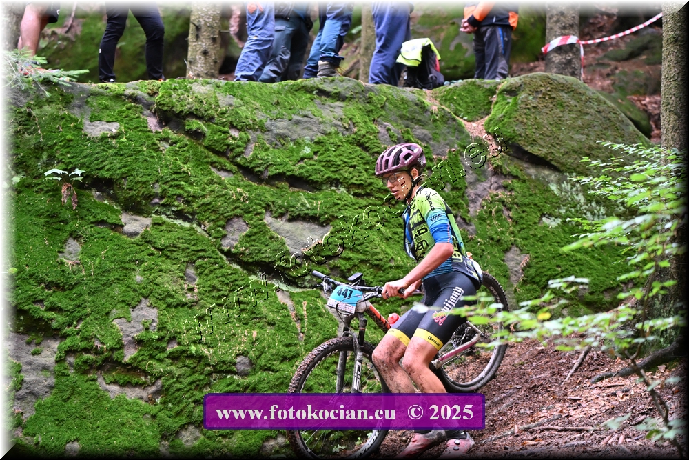 Náhled obrázku: 2025-2403-Sudety-447.JPG