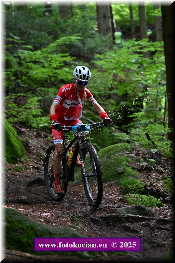 Náhled obrázku: 2025-2552-Sudety-478.JPG