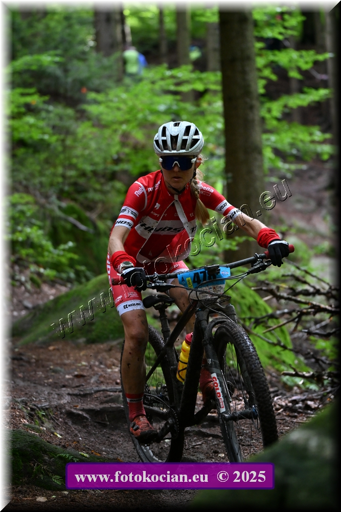 Náhled obrázku: 2025-2553-Sudety-478.JPG