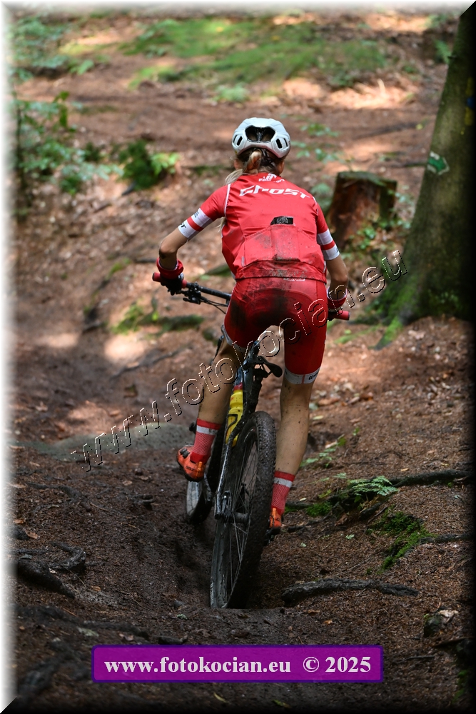 Náhled obrázku: 2025-2556-Sudety-478.JPG