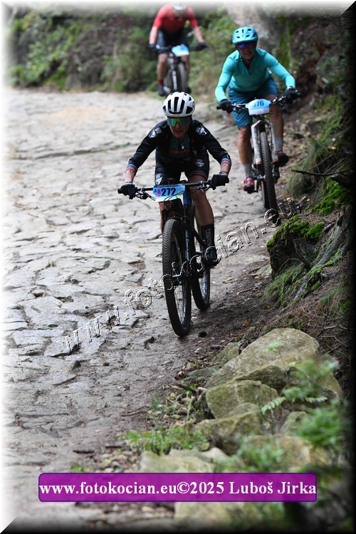 Náhled obrázku: 2025-5865-Sudety-272.JPG