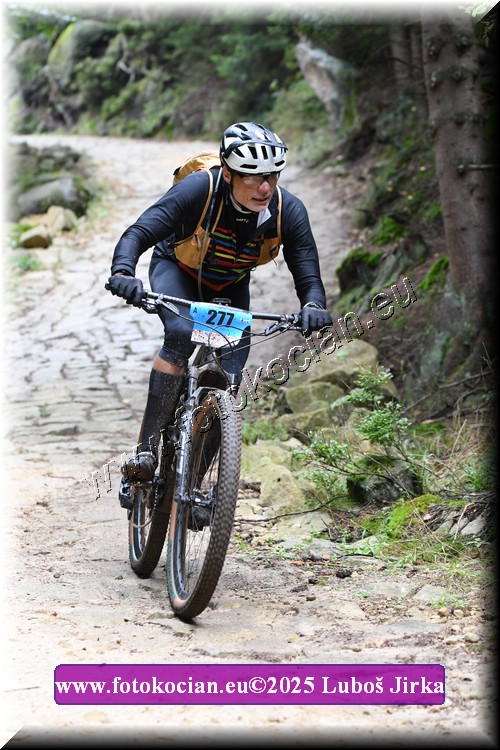 Náhled obrázku: 2025-5996-Sudety-277.JPG