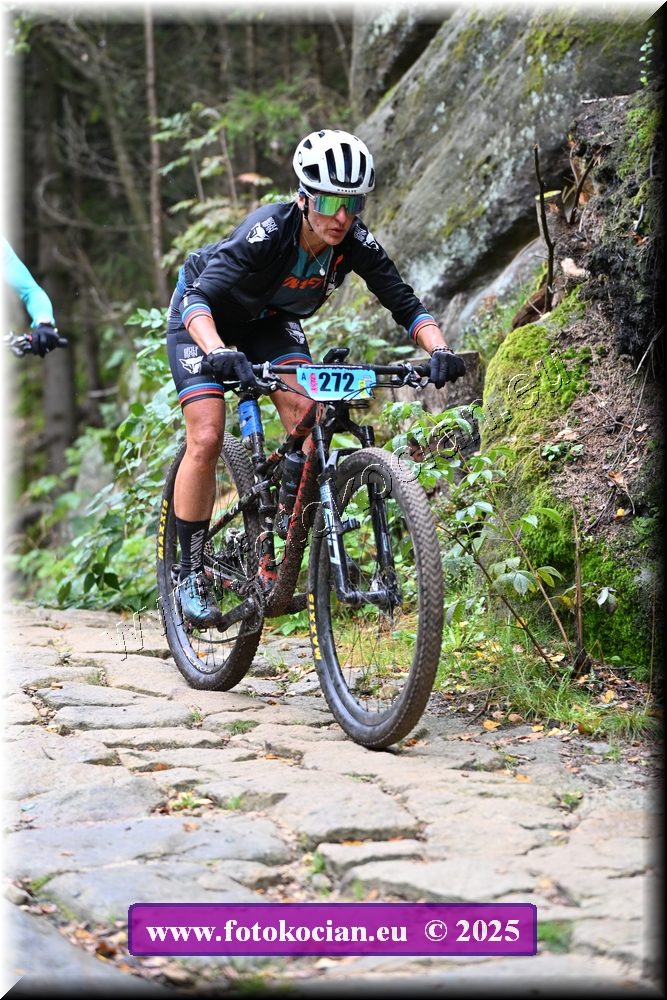 Náhled obrázku: 2025-1870-Sudety-272.JPG