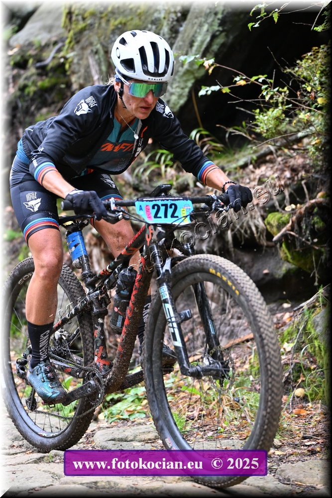 Náhled obrázku: 2025-1871-Sudety-272.JPG