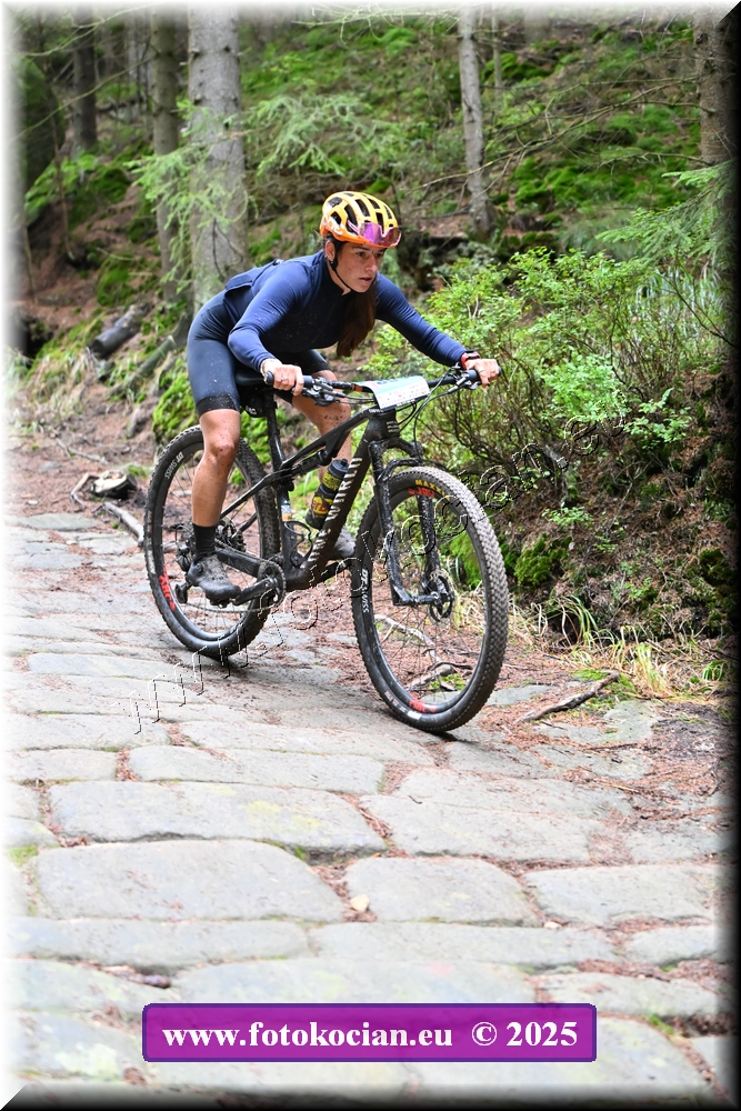 Náhled obrázku: 2025-2053-Sudety-357,0.JPG