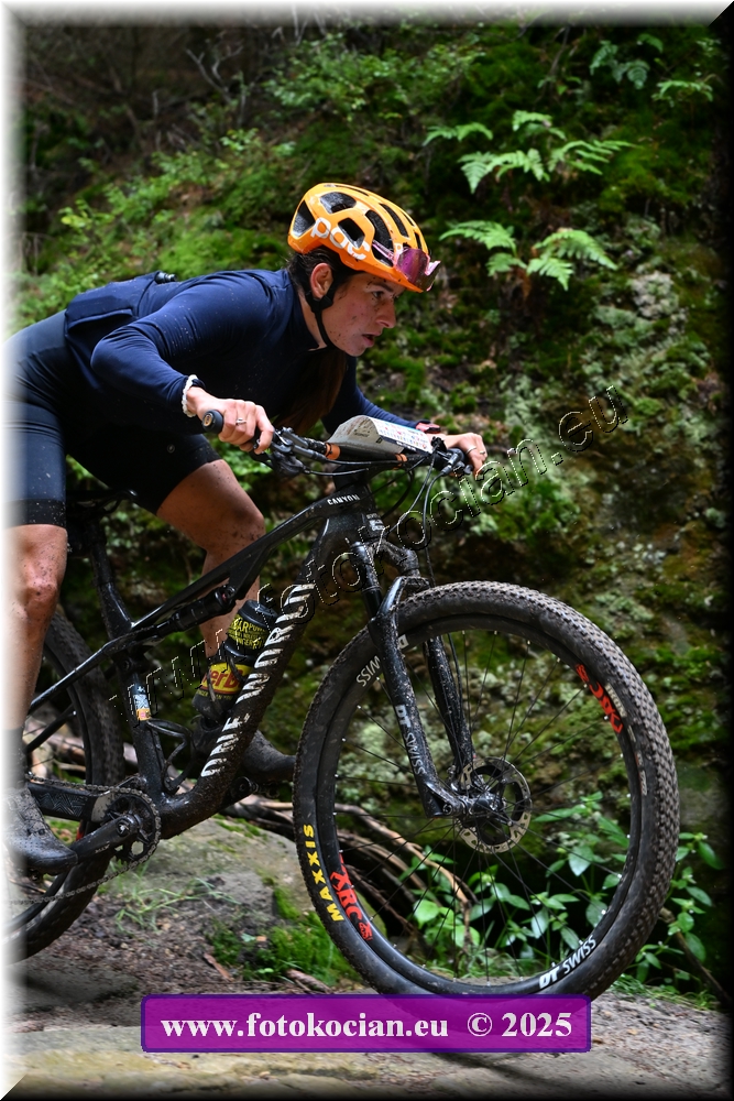 Náhled obrázku: 2025-2054-Sudety-357,0.JPG