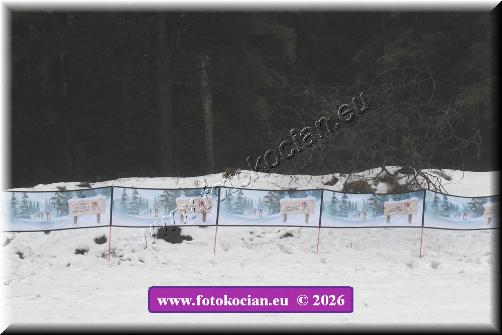 Náhled obrázku: D50_2981.JPG