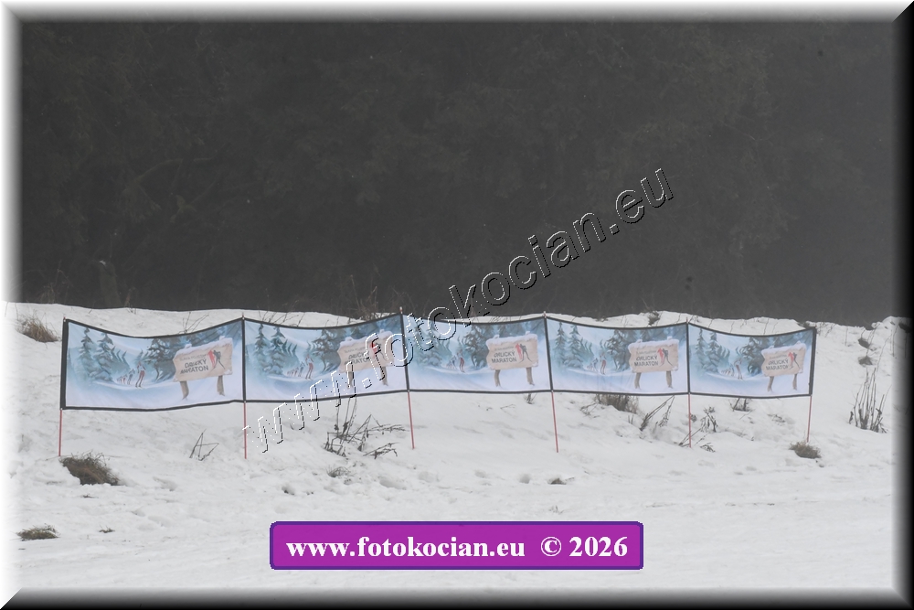 Náhled obrázku: D50_2982.JPG