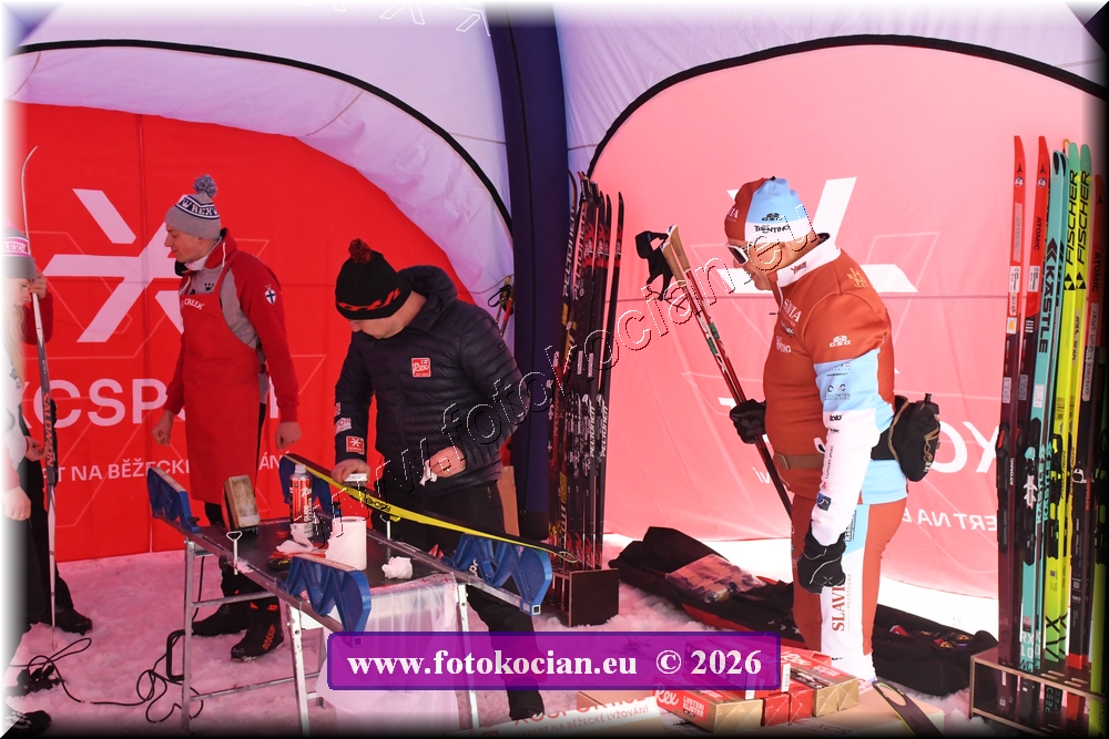 Náhled obrázku: D50_2995.JPG