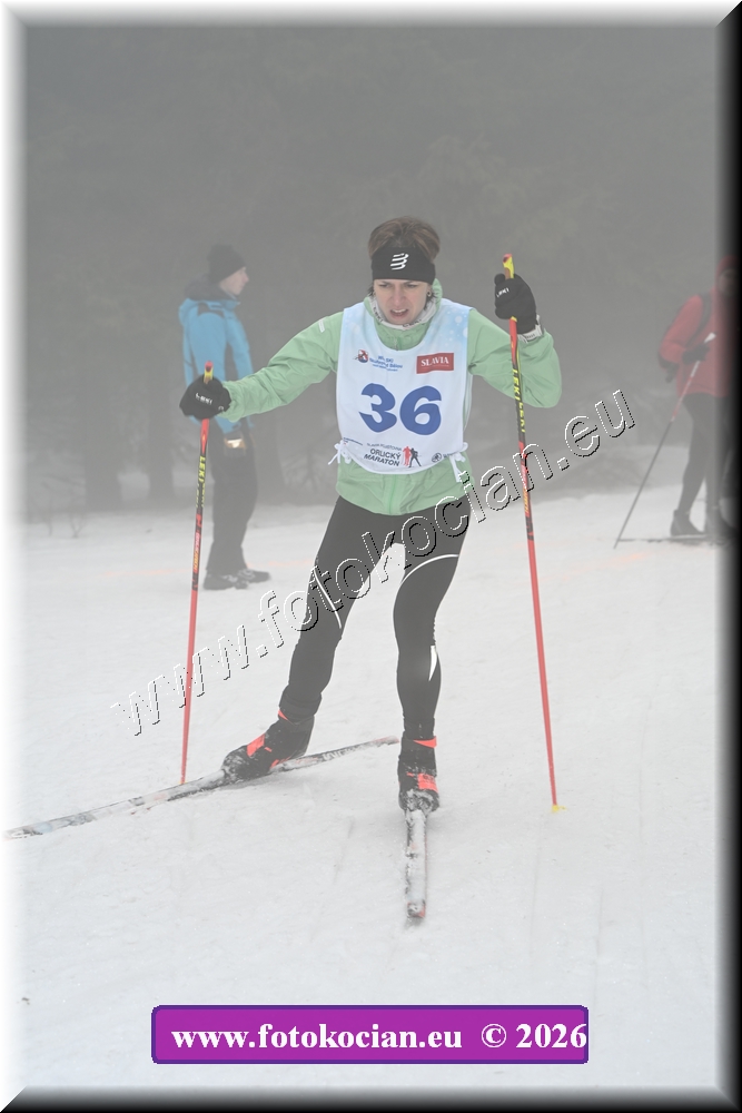 Náhled obrázku: 2026-1105-Orlicky-sobota-36.JPG