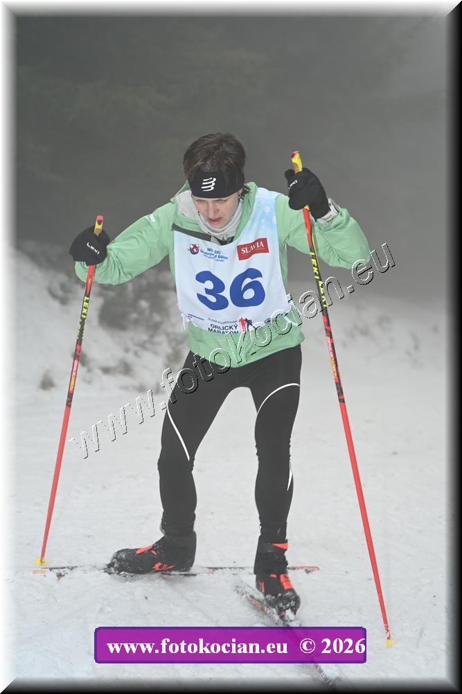 Náhled obrázku: 2026-1229-Orlicky-sobota-36.JPG