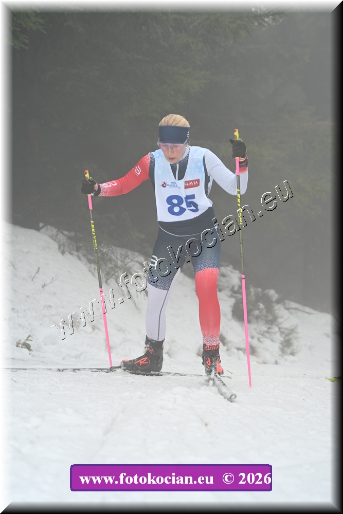 Náhled obrázku: 2026-1244-Orlicky-sobota-85.JPG