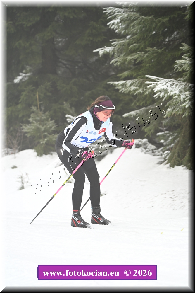 Náhled obrázku: 2026-1107-Orlicky-nedele-238.JPG