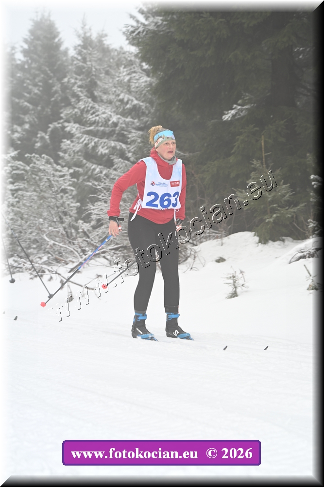 Náhled obrázku: 2026-1111-Orlicky-nedele-263.JPG