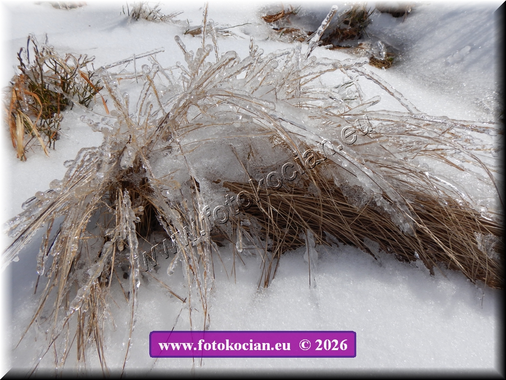 Náhled obrázku: DSCN2103.JPG