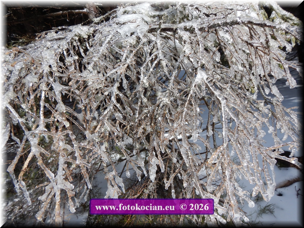 Náhled obrázku: DSCN2108.JPG