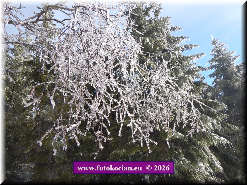 Náhled obrázku: DSCN2112.JPG