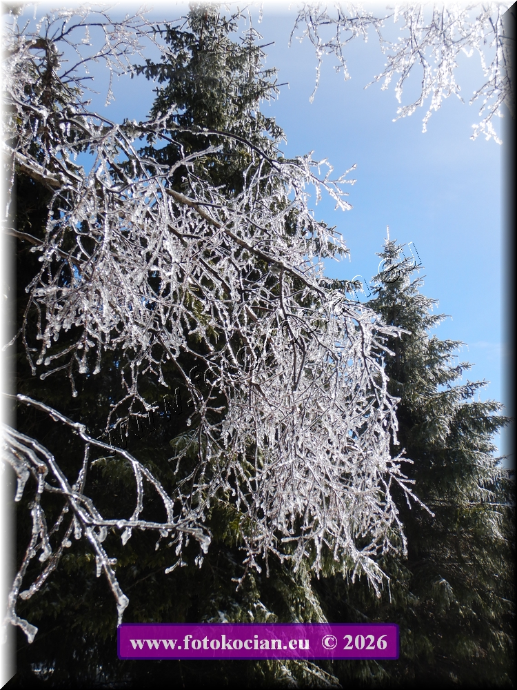 Náhled obrázku: DSCN2113.JPG