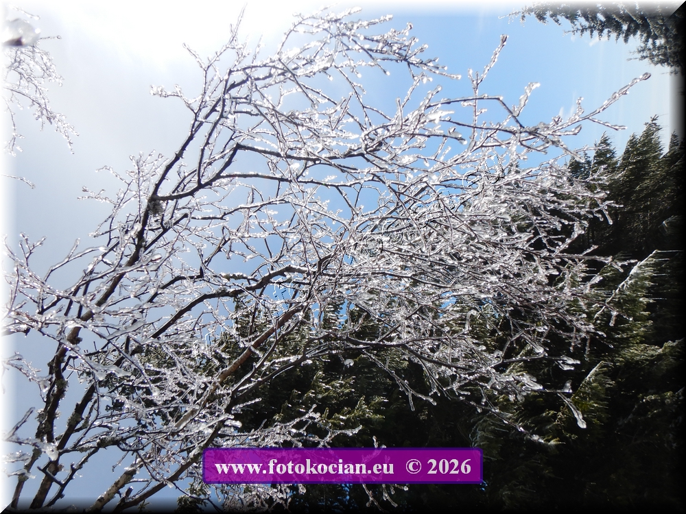 Náhled obrázku: DSCN2114.JPG