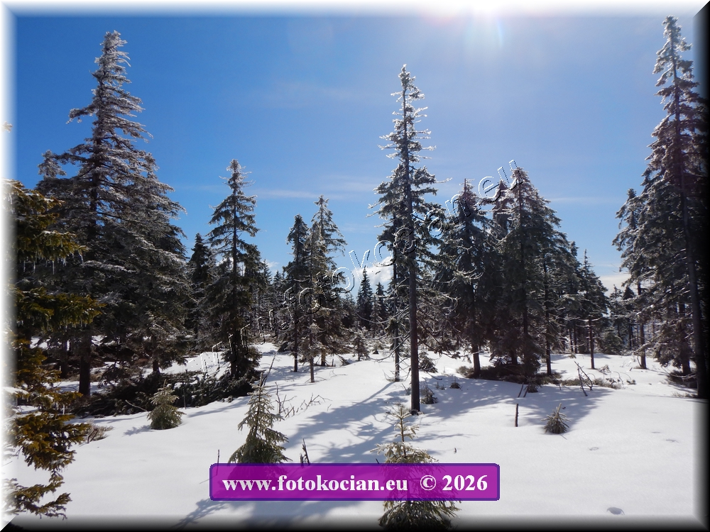 Náhled obrázku: DSCN2120.JPG