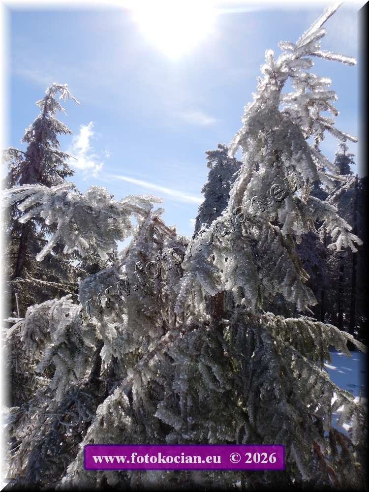 Náhled obrázku: DSCN2124.JPG