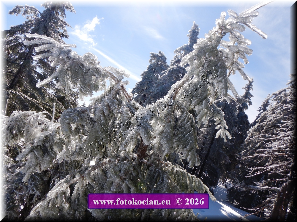 Náhled obrázku: DSCN2125.JPG