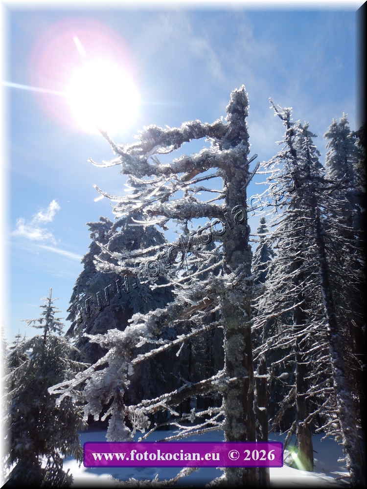 Náhled obrázku: DSCN2126.JPG