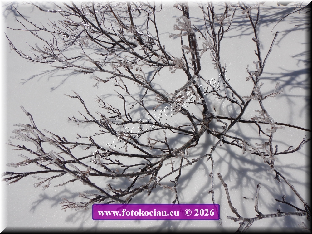 Náhled obrázku: DSCN2128.JPG