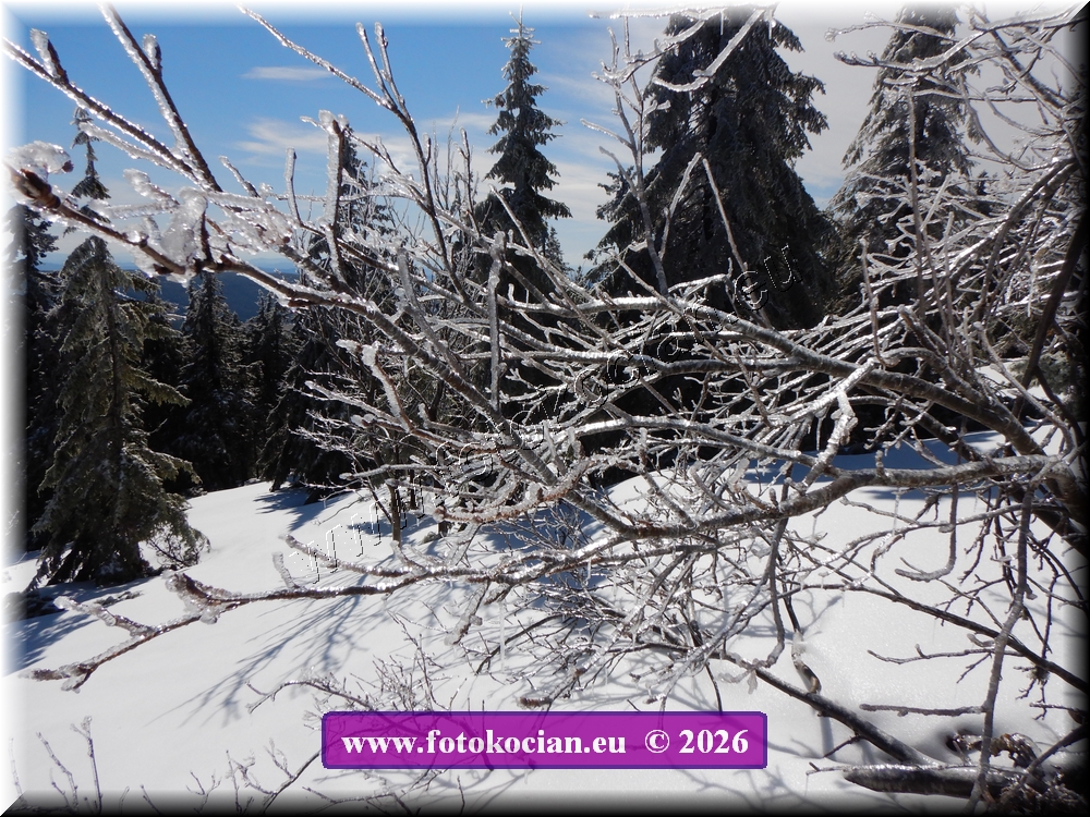 Náhled obrázku: DSCN2129.JPG