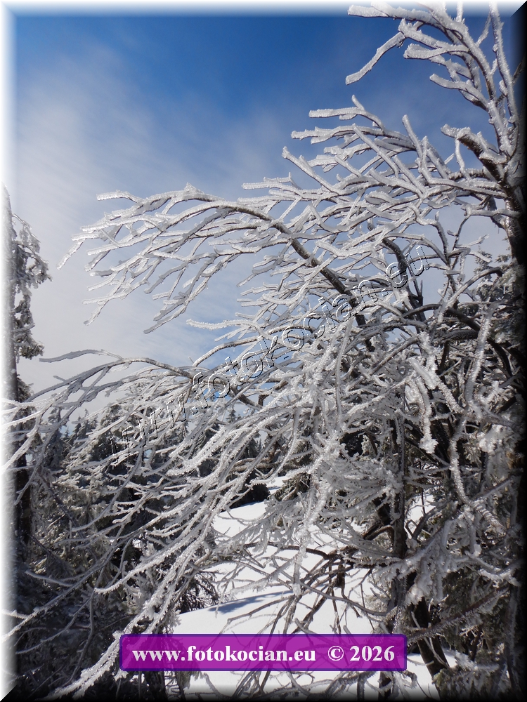 Náhled obrázku: DSCN2134.JPG