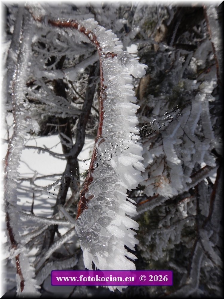 Náhled obrázku: DSCN2135.JPG