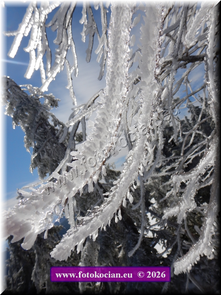 Náhled obrázku: DSCN2136.JPG