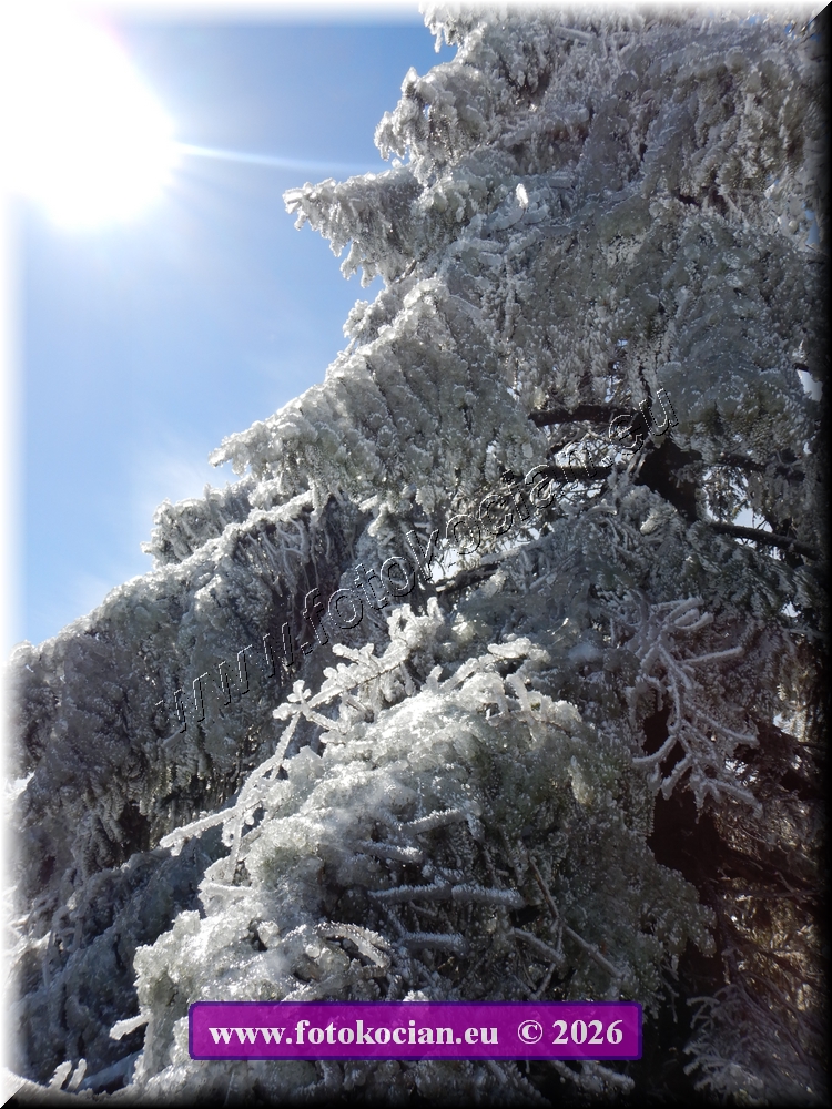 Náhled obrázku: DSCN2137.JPG